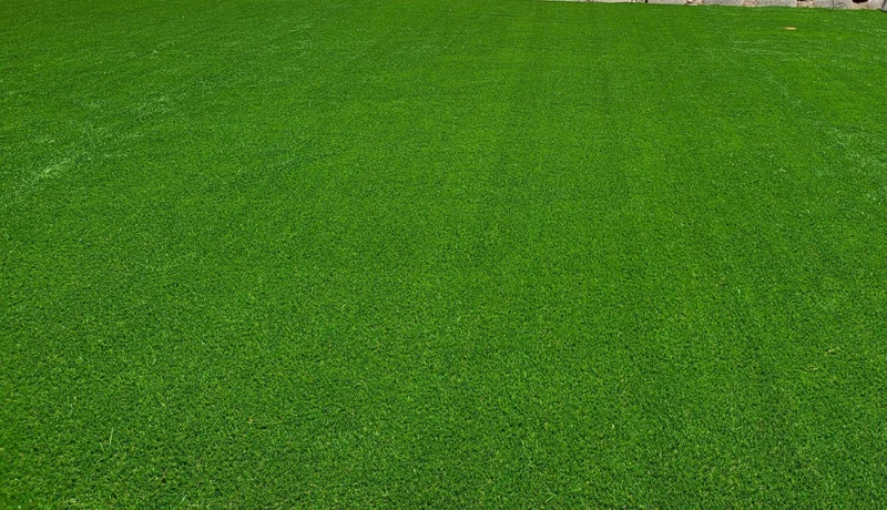 Pasto sintético de cerca, el material que se monta en pared