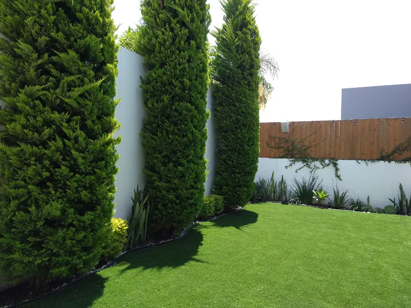 Jardín con hilera de árboles y pasto sintético