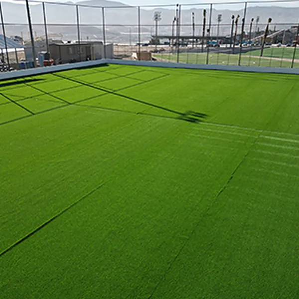 Cancha de fútbol de pasto sintético con líneas blancas y malla perimetral